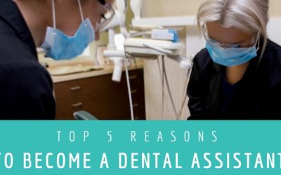 Top 5 Reasons You Should Become a Dental Assistant
