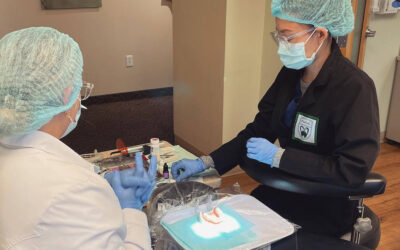Tips for Aspiring Dental Assistant Students to Balance School and Life